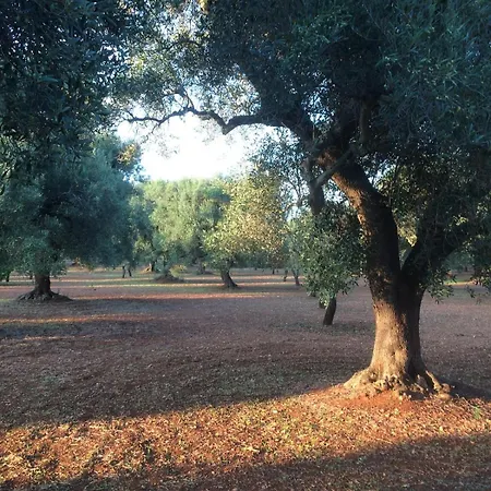 Lamia Fulmine Avec Piscine Villa