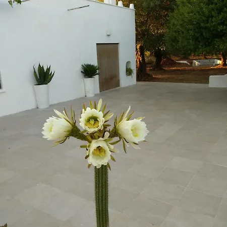 Lamia Fulmine Avec Piscine Villa *