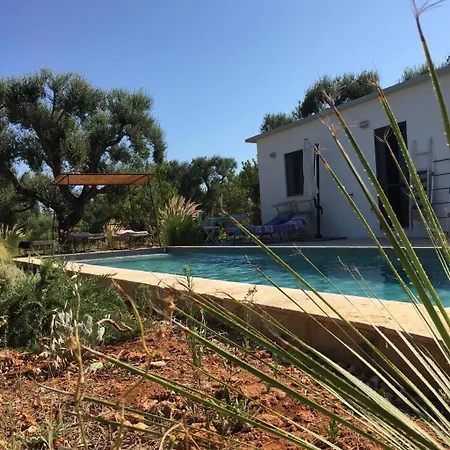 Lamia Fulmine Avec Piscine