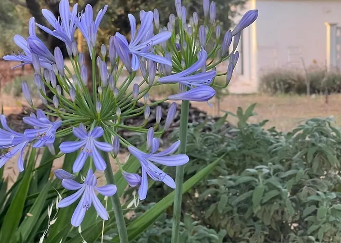 Lamia Fulmine Avec Piscine וילה *