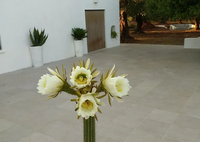 Lamia Fulmine Avec Piscine וילה *
